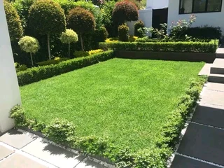 Delivery and installa buffalo grass