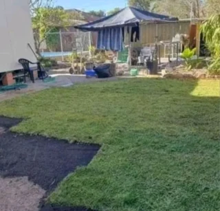 Delivery and installa buffalo grass