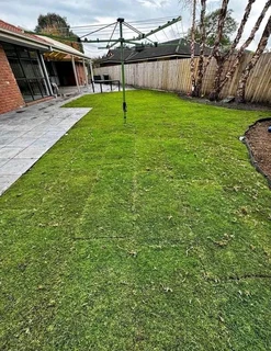 Delivery and installa buffalo grass