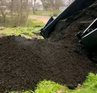 Delivery and installa buffalo grass