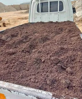 Roll on lawn Kikuyu grass