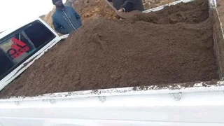 Roll on lawn Kikuyu grass