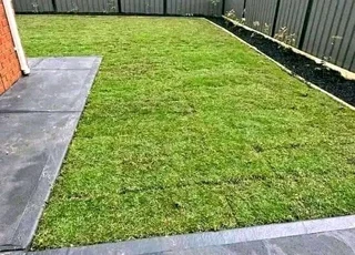 Roll on lawn Lm Berea grass