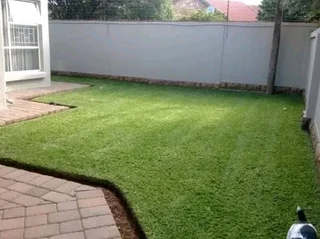 Roll on lawn Lm Berea grass