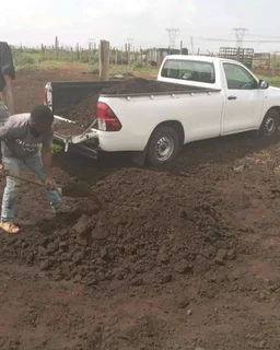 Roll on lawn Lm Berea grass