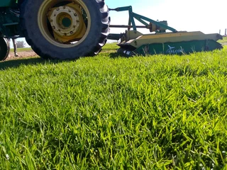 Delivery and installa Cyndone grass