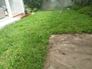 Delivery and installa Cyndone grass