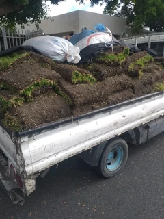 Delivery and installa Cyndone grass
