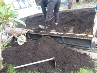 Delivery and installa Cyndone grass