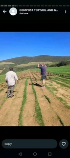 We do sell roll on lawn national grass weed free