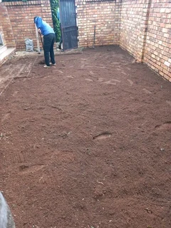 Roll on lawn Lm Berea grass and Kikuyu grass