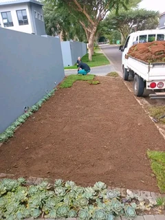 Roll on lawn Lm Berea grass and Kikuyu grass