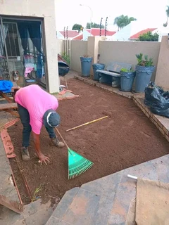 Roll on lawn Lm Berea grass and Kikuyu grass