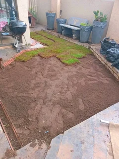 Roll on lawn Lm Berea grass and Kikuyu grass