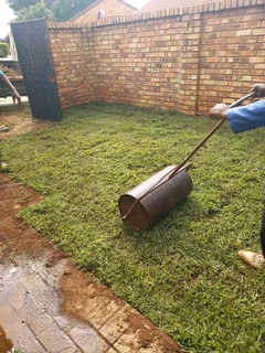 Roll on lawn Lm Berea grass and Kikuyu grass