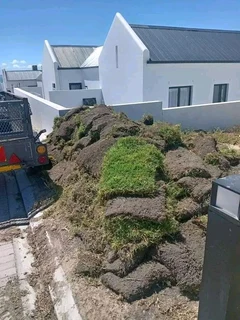 Quality and installa buffalo grass
