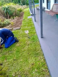 Quality and installa buffalo grass