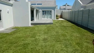 Quality and installa buffalo grass