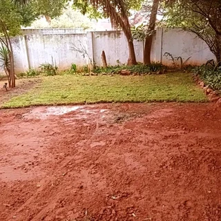 Roll on lawn Kikuyu grass and buffalo grass weed free