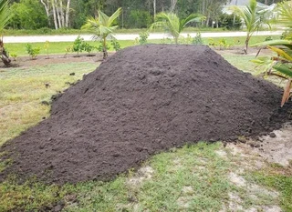 Supply and installa off roll on lawn  Lm Berea grass and Kikuyu grass weed free