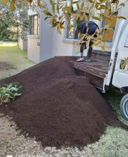 Supply and installa off roll on lawn  Lm Berea grass and Kikuyu grass weed free