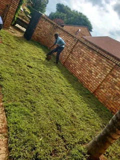 Supply and installa Lm Berea grass grass