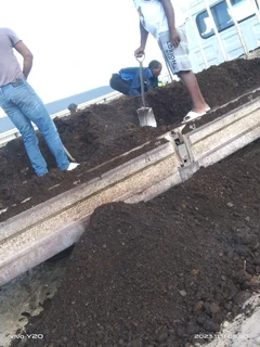 Supply and installa Lm Berea grass grass