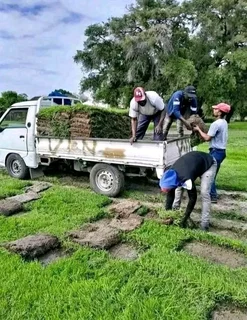 We do supply and installa buffalo grass and topsoil and compost
