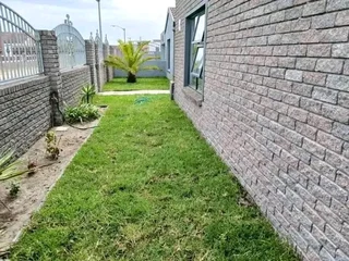 We do supply and installa buffalo grass