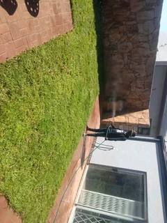 We do supply and installa buffalo grass