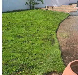 We do supply and installa buffalo grass