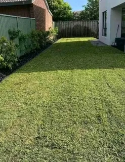 We do supply and installa buffalo grass