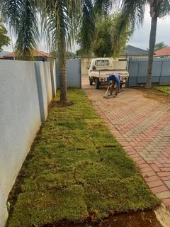 We do supply and installa Lm Berea grass and potting soil weed free