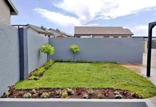 Delivery and installa buffalo grass and Kikuyu grass