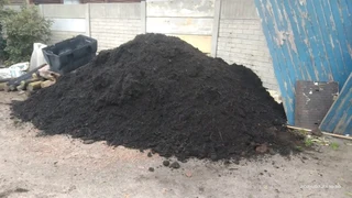 Delivery and installa buffalo grass and Kikuyu grass