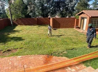 Delivery and installa buffalo grass and Kikuyu grass