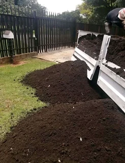 Delivery and installa buffalo grass and Kikuyu grass