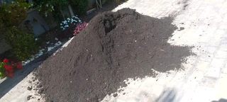 Delivery and installa buffalo grass and Kikuyu grass