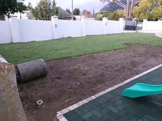 Roll on lawn Lm Berea grass and buffalo grass weed free