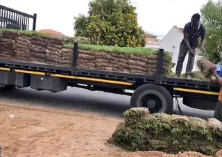 Roll on lawn Lm Berea grass and buffalo grass weed free