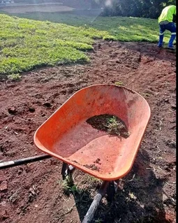 quality of roll on lawn national grass