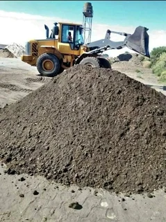 quality of roll on lawn national grass