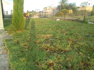 Roll on lawn Kikuyu grass