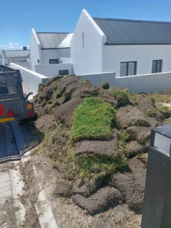 Delivery and installa off buffalo grass and Kikuyu grass. /call 0672707801