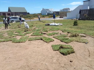 Delivery and installa off buffalo grass and Kikuyu grass. /call 0672707801