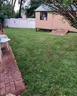 We do supply and installa buffalo grass