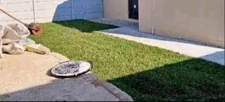 Roll on lawn Kikuyu grass and buffalo grass