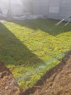 Roll on lawn Kikuyu grass and buffalo grass