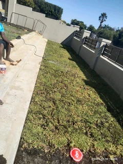 Roll on lawn Kikuyu grass and buffalo grass