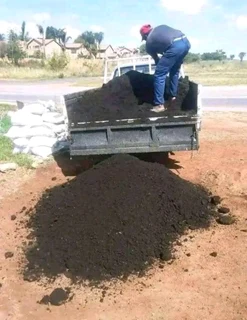 GREEN AND FRESH GRASS STRAIGHT FROM THE FARM  WhatsApp number 0672707801 PROFESSIONALS WITH IMMENSE